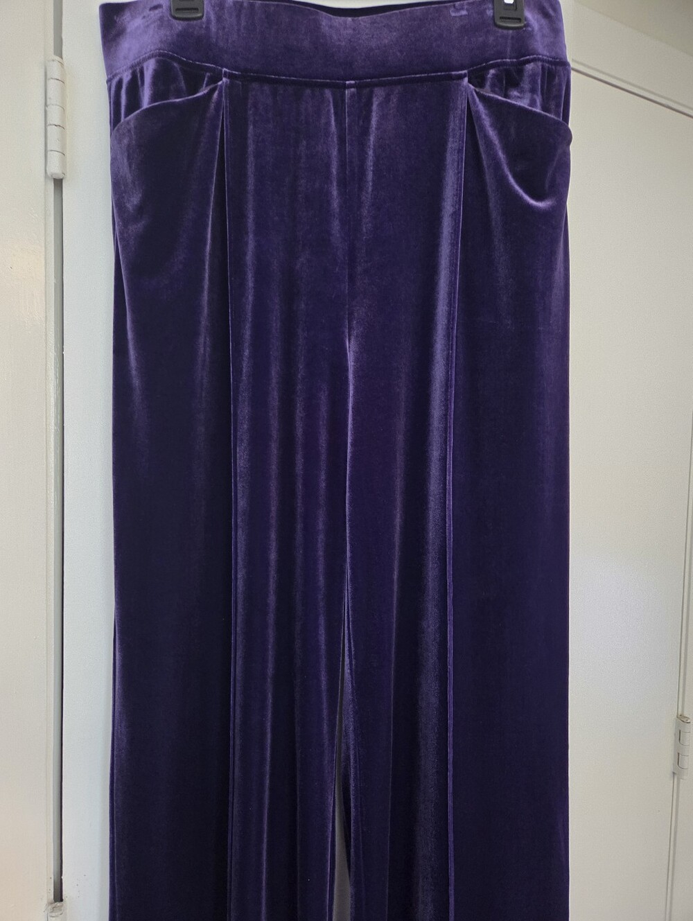 Talbots Deep Purple Velvet Pants  Sz M